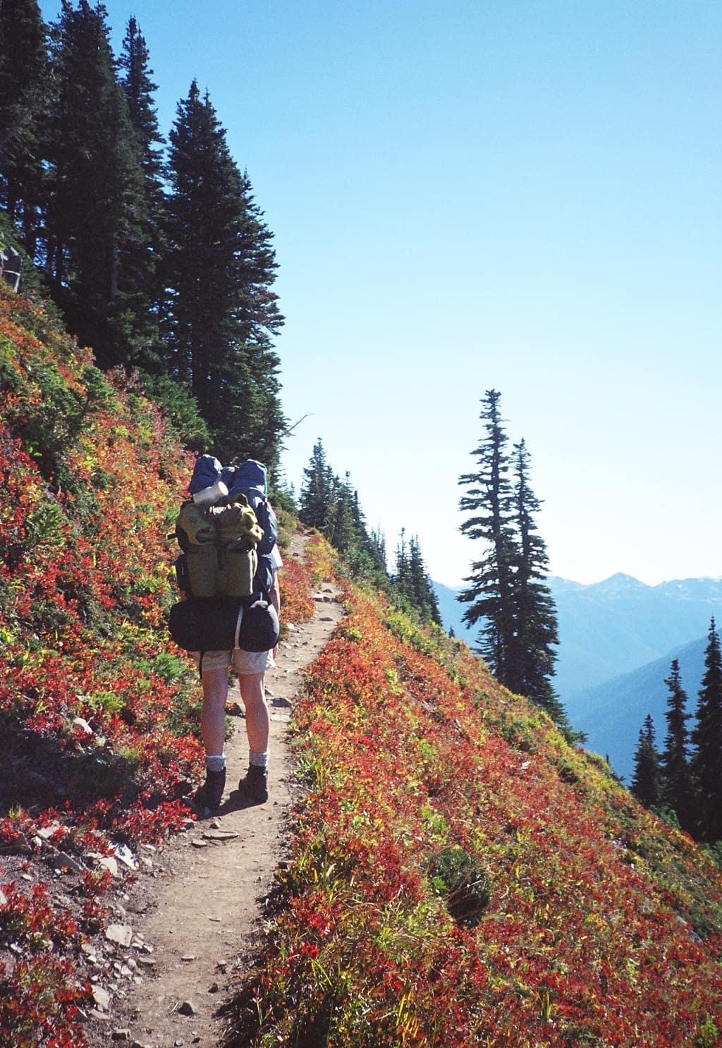 A hiker carrying a large pack on a subalpine mountain trail