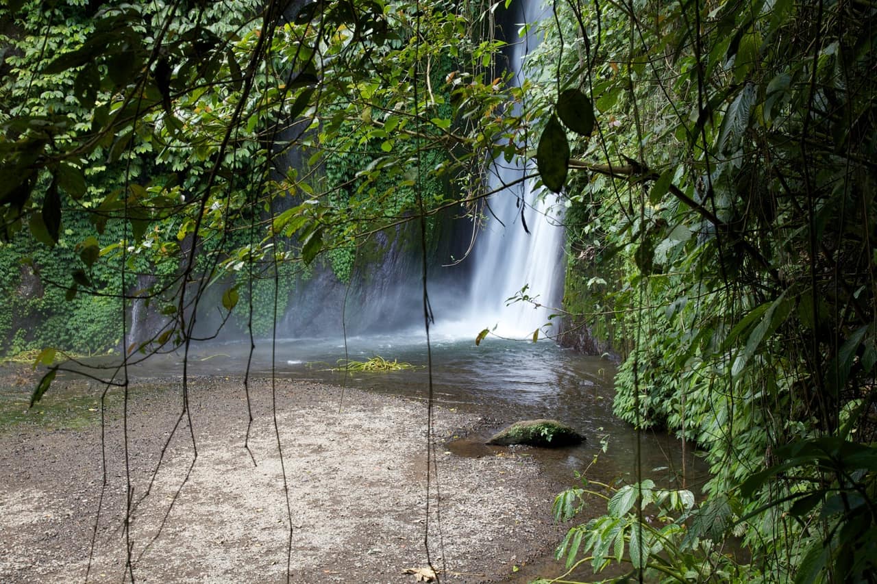 A tall narrow waterfall falling into dense green jungle near Munduk, Bali