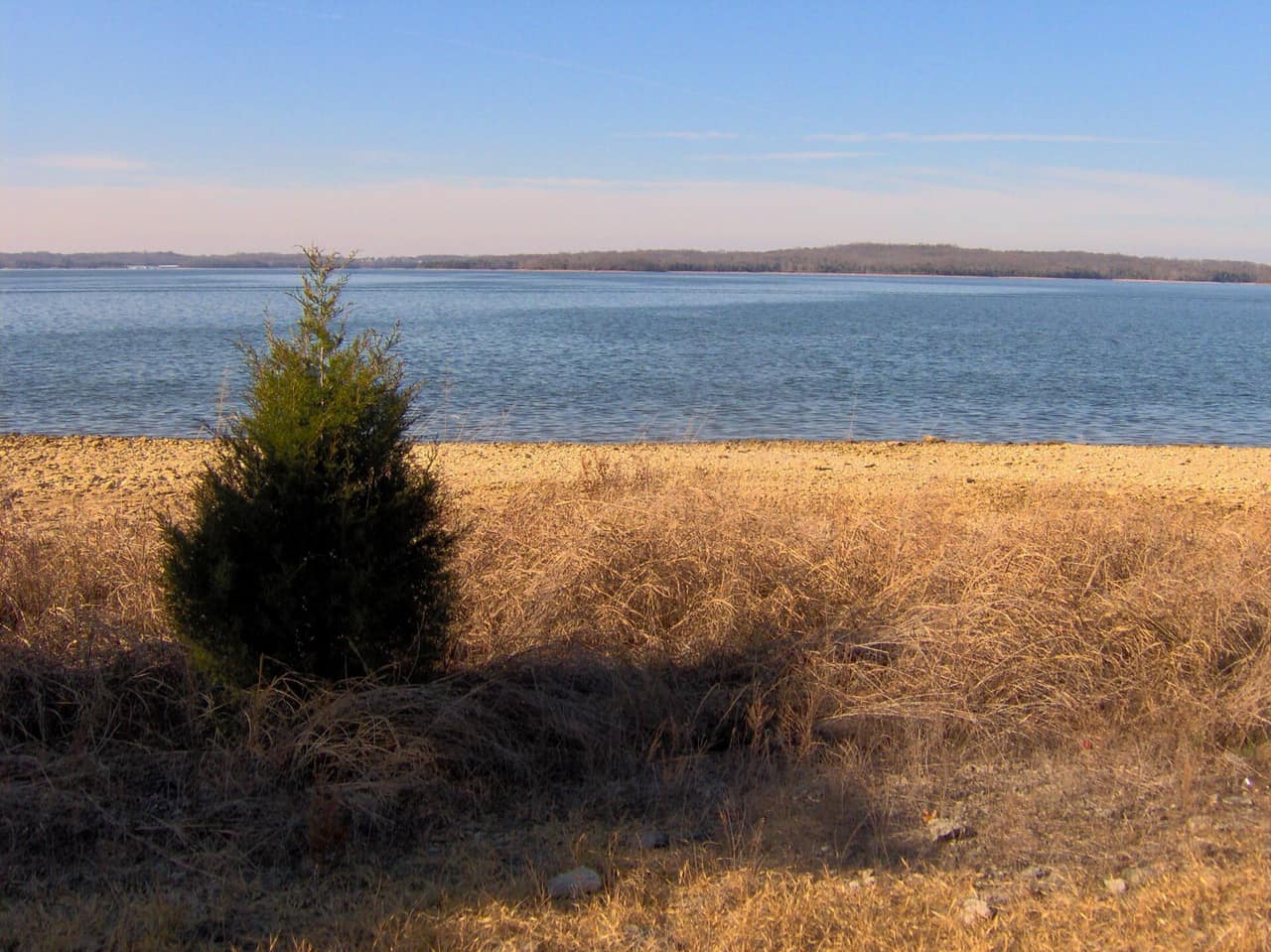 Calm water and wooded shoreline at J. Percy Priest Lake near Nashville, Tennessee